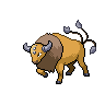 Paldean Tauros