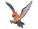 Talonflame